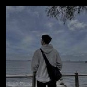 image favourite singer