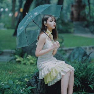 image favourite singer